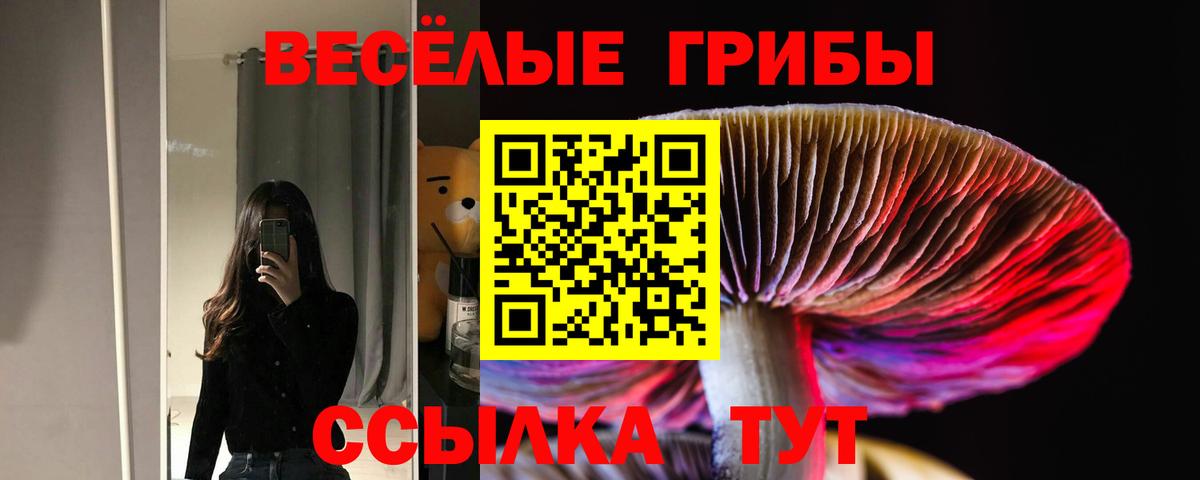 Карпинск  Галлюциногенные грибы Psilocybe  Галлюциногенные грибы MAGIC MUSHROOMS  Вход с VPN 